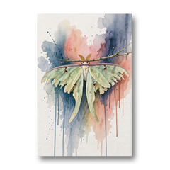 Insect Wall Art with a Luna Moth at Dusk - Canvas Wall Art - Front