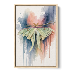 Insect Wall Art with a Luna Moth at Dusk - Oak Framed Canvas Wall Art - Front