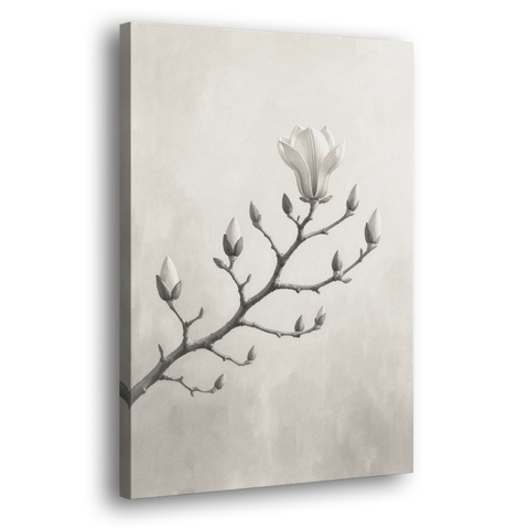 Magnolia Branch with Furry Buds and One Bloom - Canvas Wall Art - Side