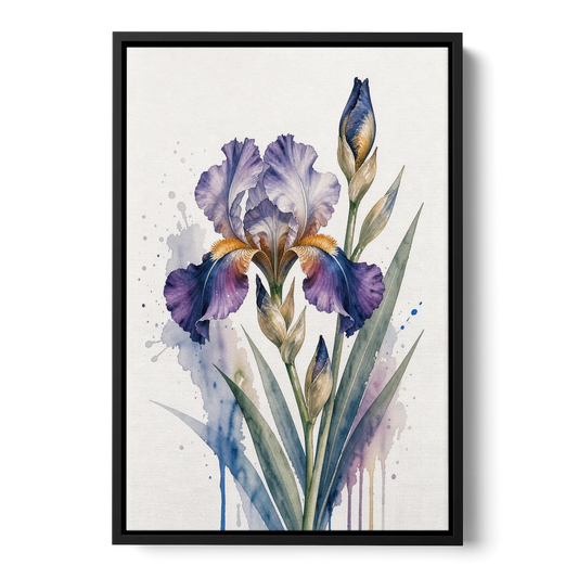 Modern Violet Bearded Iris Flower Splash - Black Framed Canvas Wall Art - Front