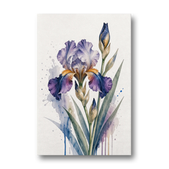 Modern Violet Bearded Iris Flower Splash - Canvas Wall Art - Front