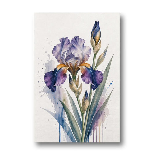 Modern Violet Bearded Iris Flower Splash - Canvas Wall Art - Front