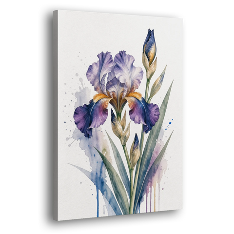 Modern Violet Bearded Iris Flower Splash - Canvas Wall Art - Side