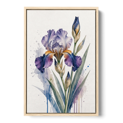Modern Violet Bearded Iris Flower Splash - Oak Framed Canvas Wall Art - Front