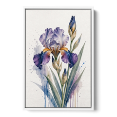 Modern Violet Bearded Iris Flower Splash - White Framed Canvas Wall Art - Front
