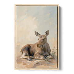 Moose Calf at Rest for the Modern Nursery - Oak Framed Canvas Wall Art - Front