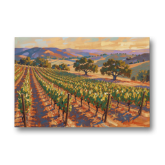 Napa Valley Wall Art of Golden Vines and Oaks - Canvas Wall Art - Front