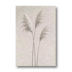 Neutral Botanical Prints of Pampas Grass Plumes - Canvas Wall Art - Front