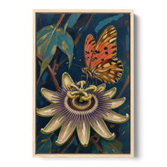 Orange Butterfly Wall Art with a Passionflower - Oak Framed Canvas Wall Art - Front
