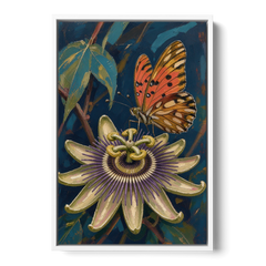 Orange Butterfly Wall Art with a Passionflower - White Framed Canvas Wall Art - Front