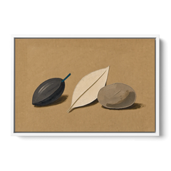 Organic Modern Home Decor with Seed, Leaf and Pebble - White Framed Canvas Wall Art - Front