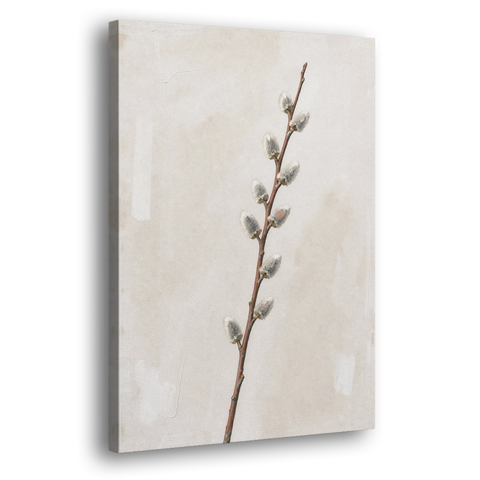 Pussy Willow Branch with Silver Catkins - Canvas Wall Art - Side