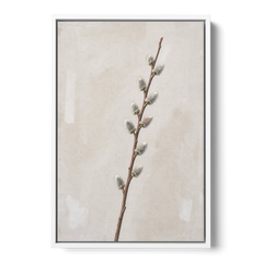 Pussy Willow Branch with Silver Catkins - White Framed Canvas Wall Art - Front