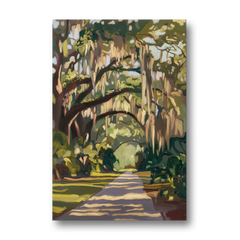 Savannah Oak Trees and Moss - Canvas Wall Art - Front