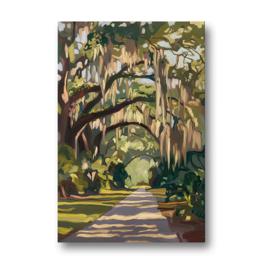 Savannah Oak Trees and Moss - Canvas Wall Art - Front