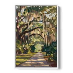 Savannah Oak Trees and Moss - White Framed Canvas Wall Art - Front