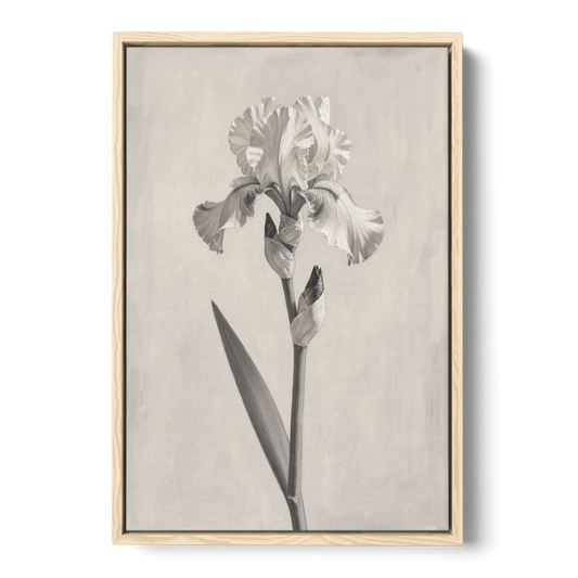 Single Flower Wall Art of a Bearded Iris - Oak Framed Canvas Wall Art - Front