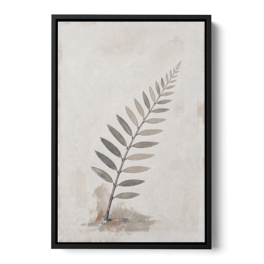 Spa Bathroom Wall Art with a Sword Fern Frond - Black Framed Canvas Wall Art - Front