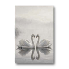 Two Black and White Swans Made for Each Other - Canvas Wall Art - Front