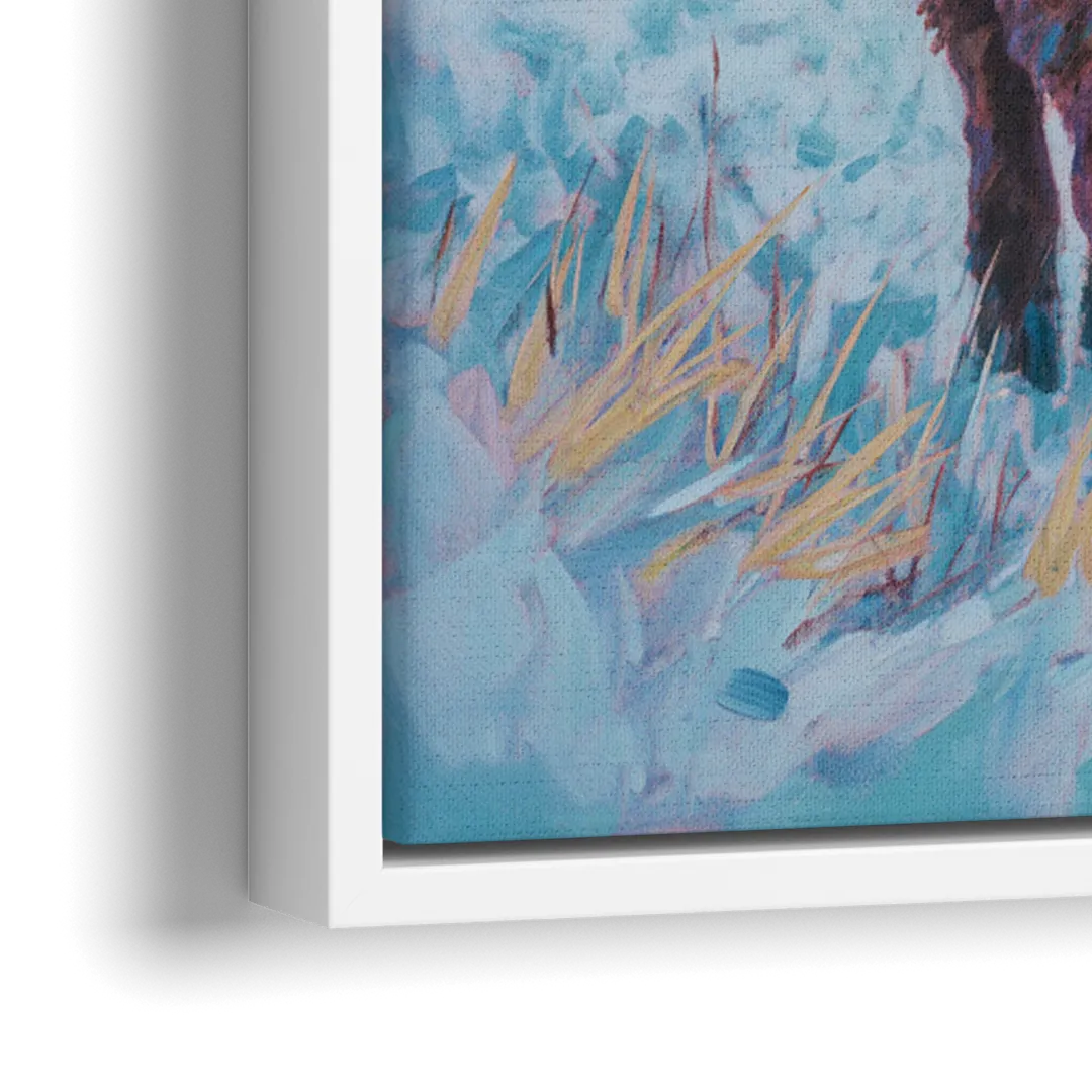 Winter Wonderland Highland Cow - Close-Up White Frame Canvas