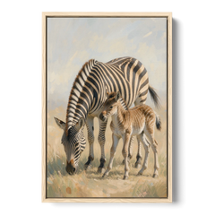 Zebra Mare Nuzzling Her Foal for the Bathroom - Oak Framed Canvas Wall Art - Front