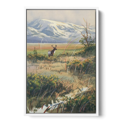 Frozen Tundra - White Frame Canvas