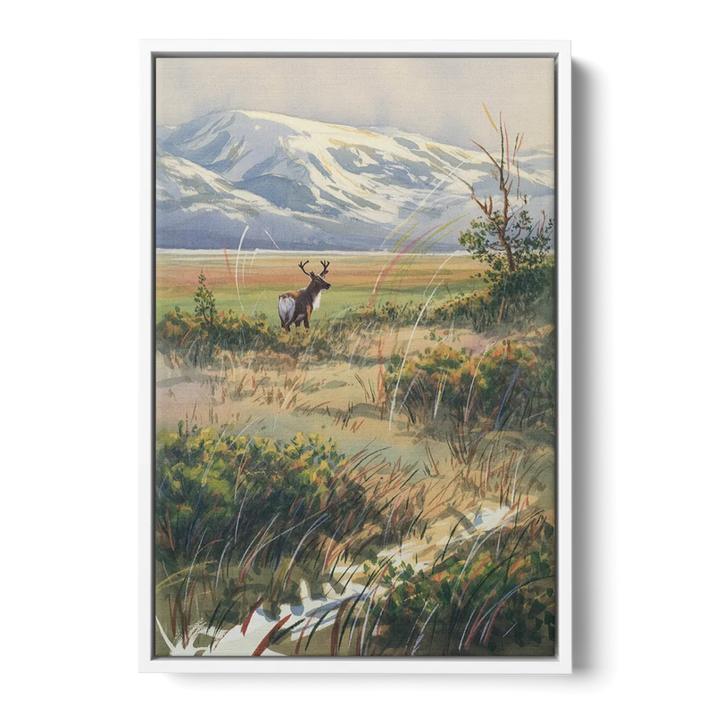 Frozen Tundra - White Frame Canvas