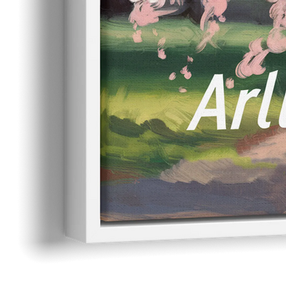 Arlington Cherry Blossoms - Close-Up White Frame Canvas