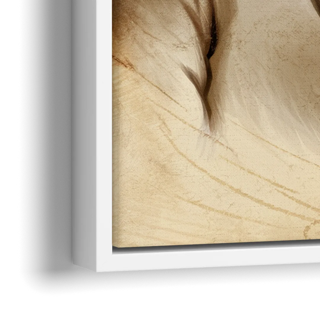 Franklin Patriotic Spirit - Close-Up White Frame Canvas