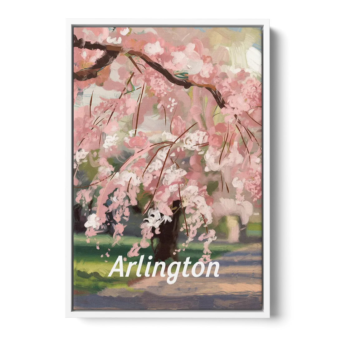 Arlington Cherry Blossoms - White Frame Canvas