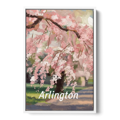 Arlington Cherry Blossoms - White Frame Canvas