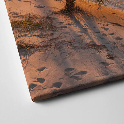 Jacksonville St. Johns River Canvas Close Up